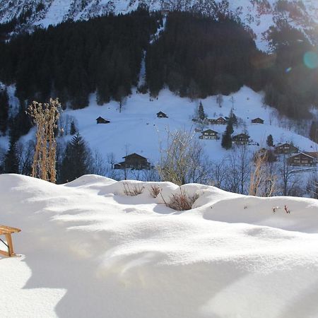 Chalet Pfingsteggblick Grindelwald Extérieur photo