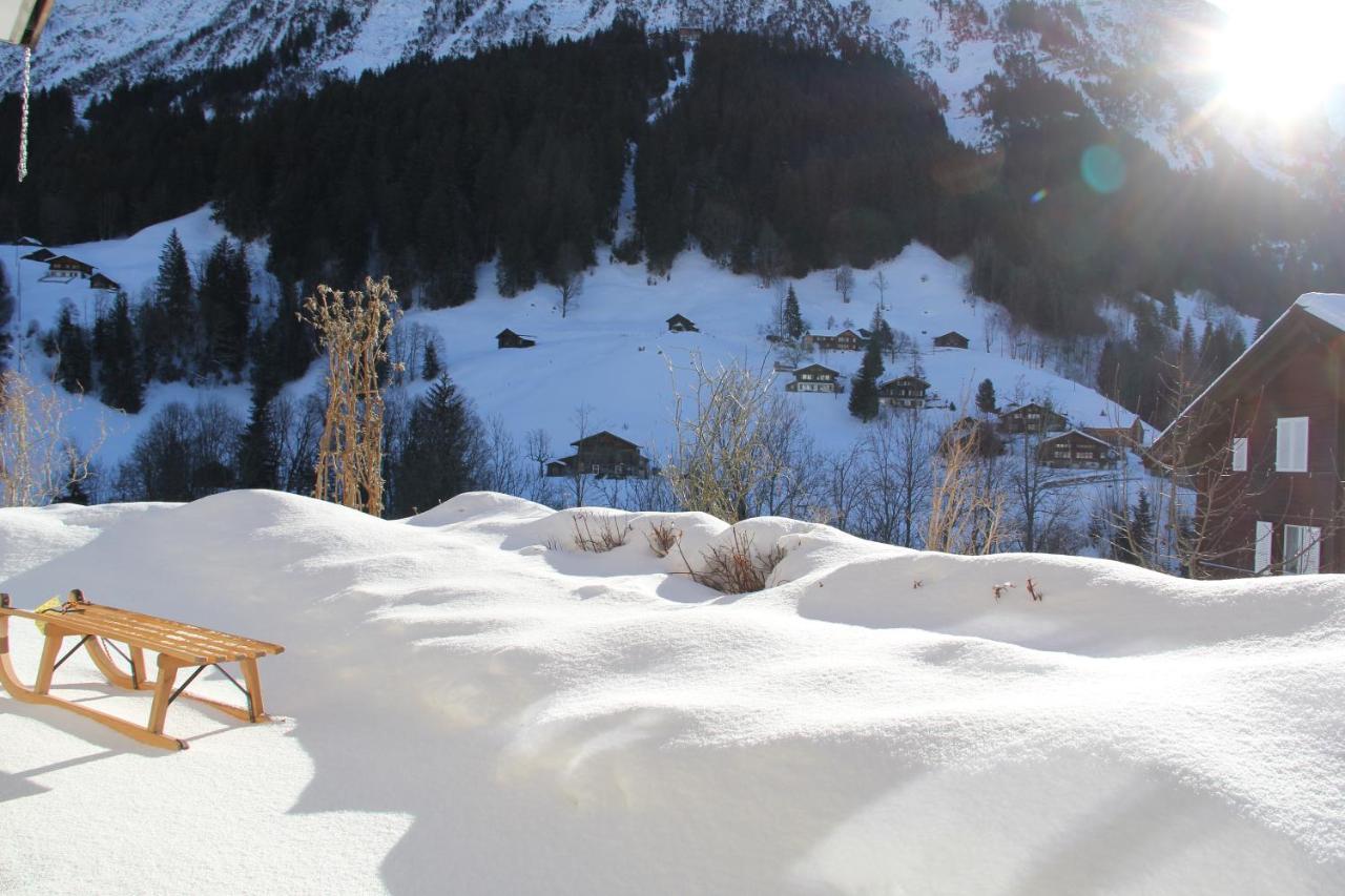 Chalet Pfingsteggblick Grindelwald Extérieur photo