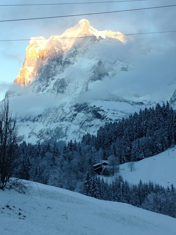 Chalet Pfingsteggblick Grindelwald Extérieur photo
