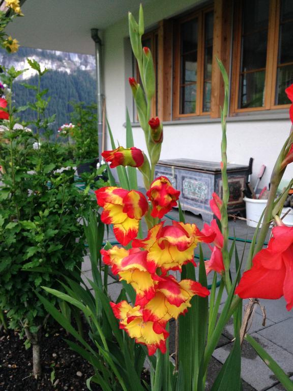 Chalet Pfingsteggblick Grindelwald Extérieur photo