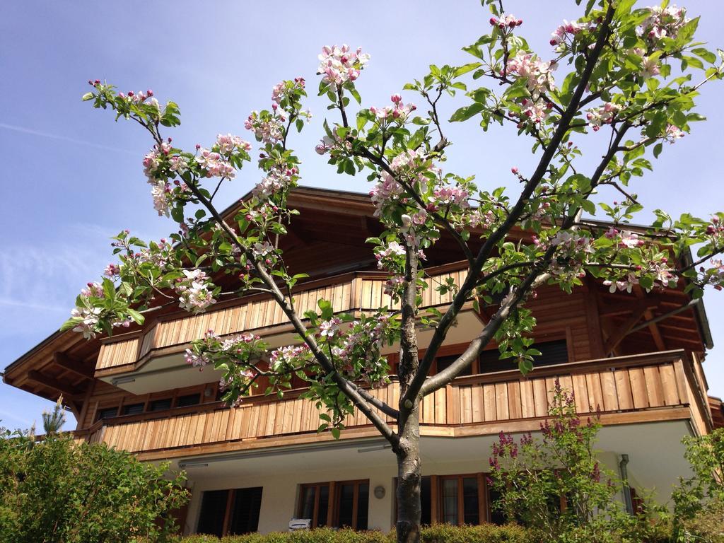 Chalet Pfingsteggblick Grindelwald Extérieur photo